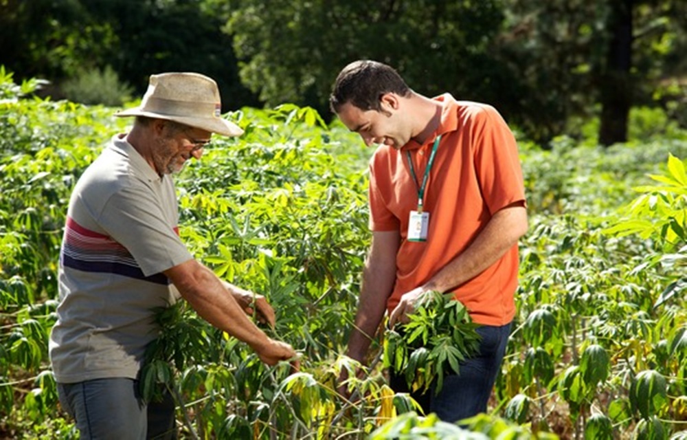 Ir para  <p>O Dia do T&eacute;cnico Agr&iacute;cola foi institu&iacute;do pela Lei n&ordm; 13.099, de 27 de janeiro de 2015. &Eacute; uma alus&atilde;o &agrave; Lei Federal n&ordm; 5.524, de 5 de novembro de 1968, que...